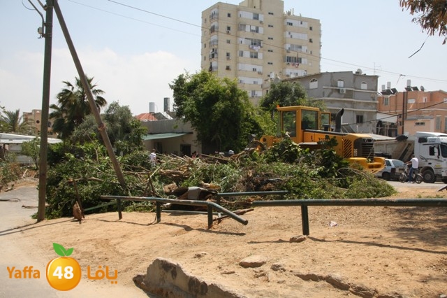 hadmqobtan423zoher (22).JPG